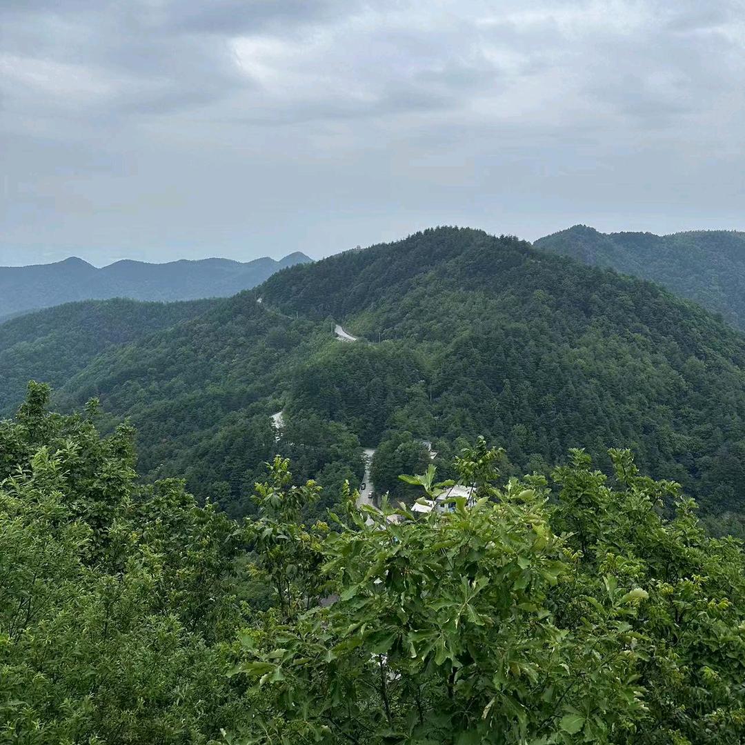 @遇见🍀