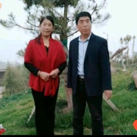 云梅