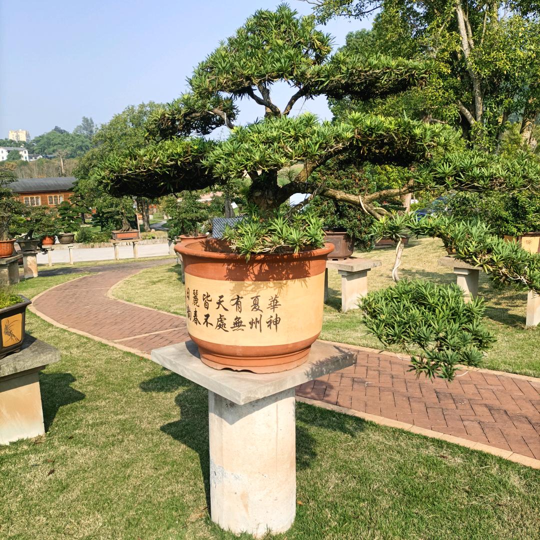 红尘过客