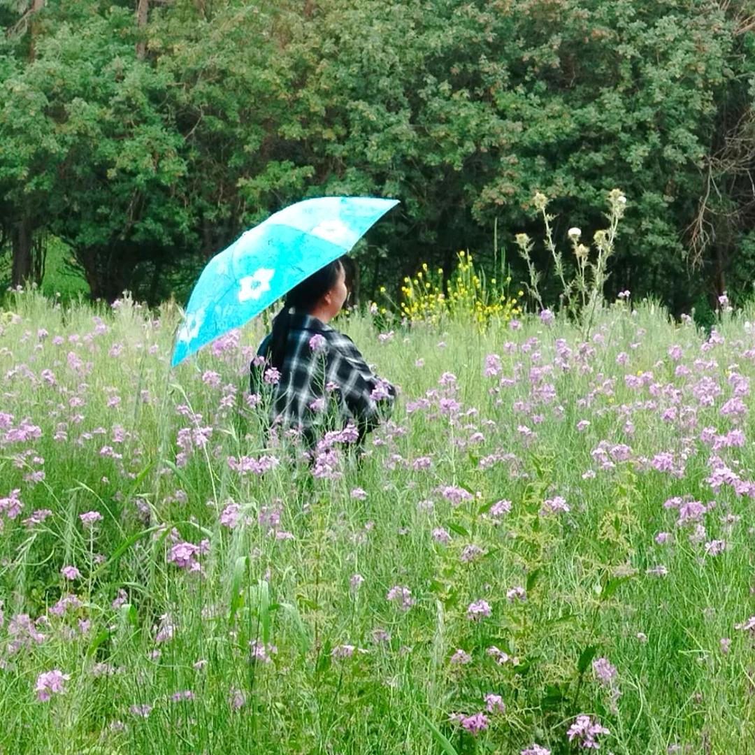 *^_^*春暖花开