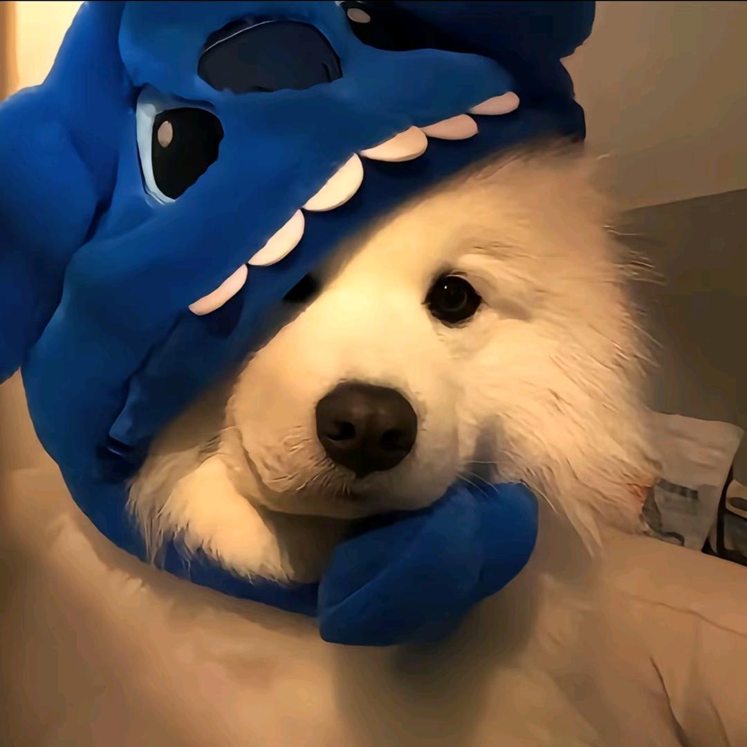 祁水