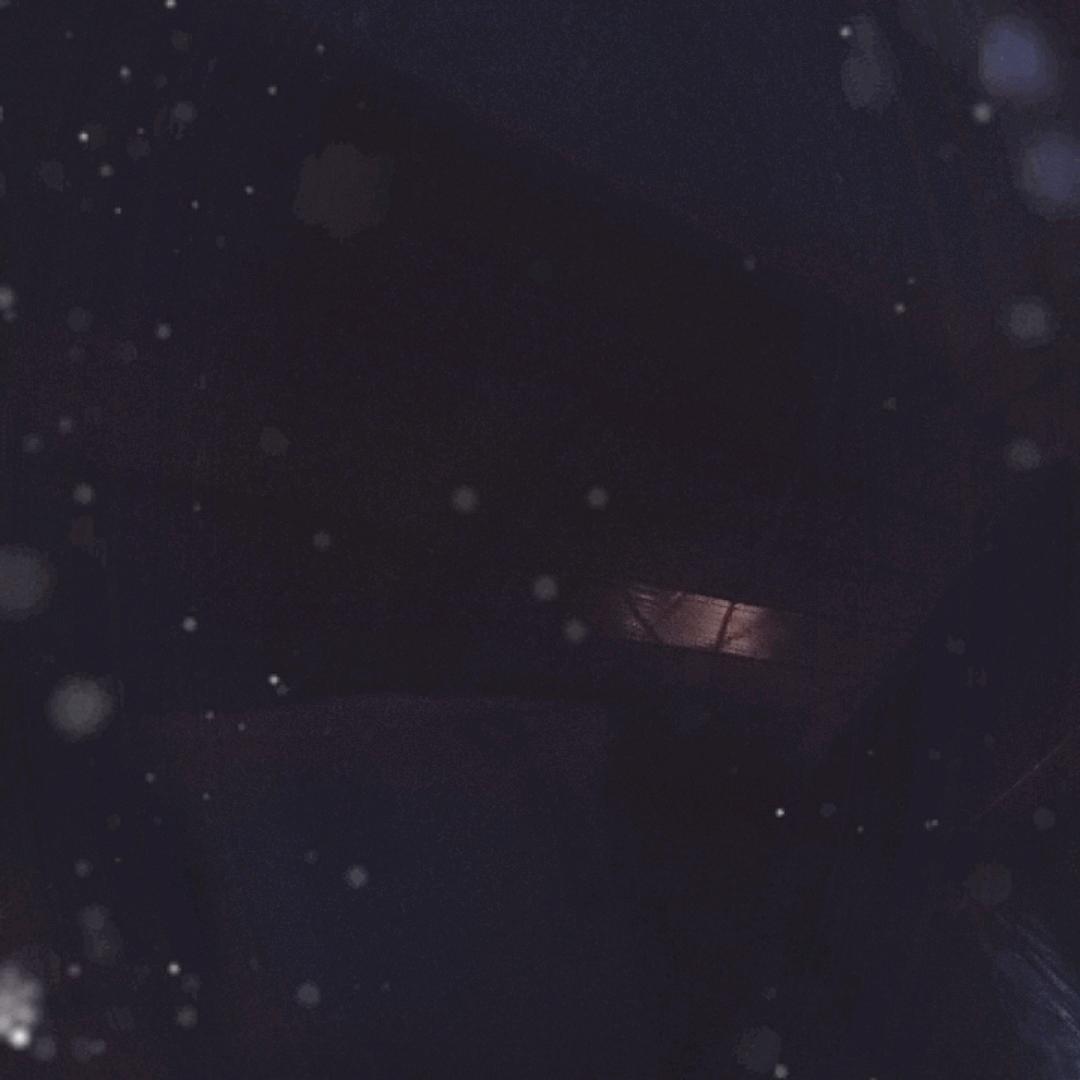 王小二酸菜鱼