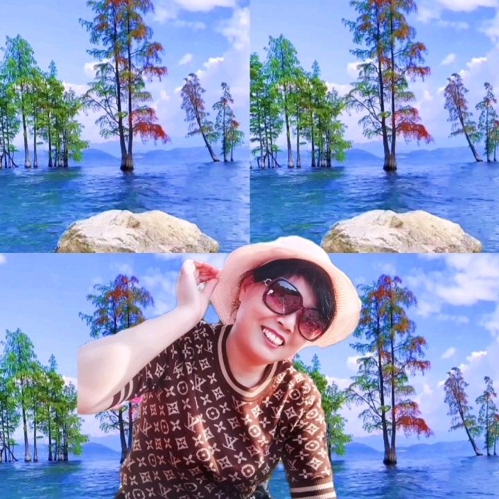 木梨花
