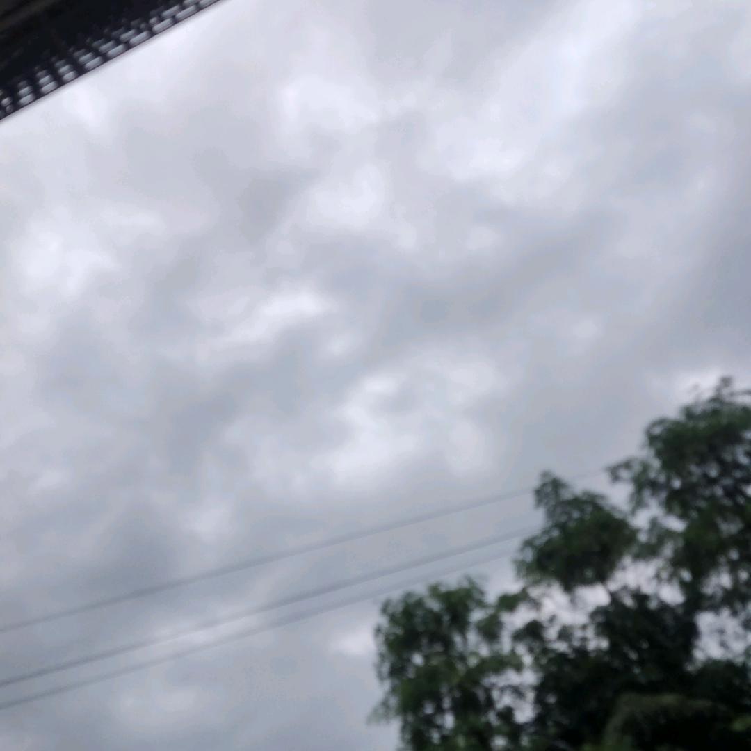 萌来了
