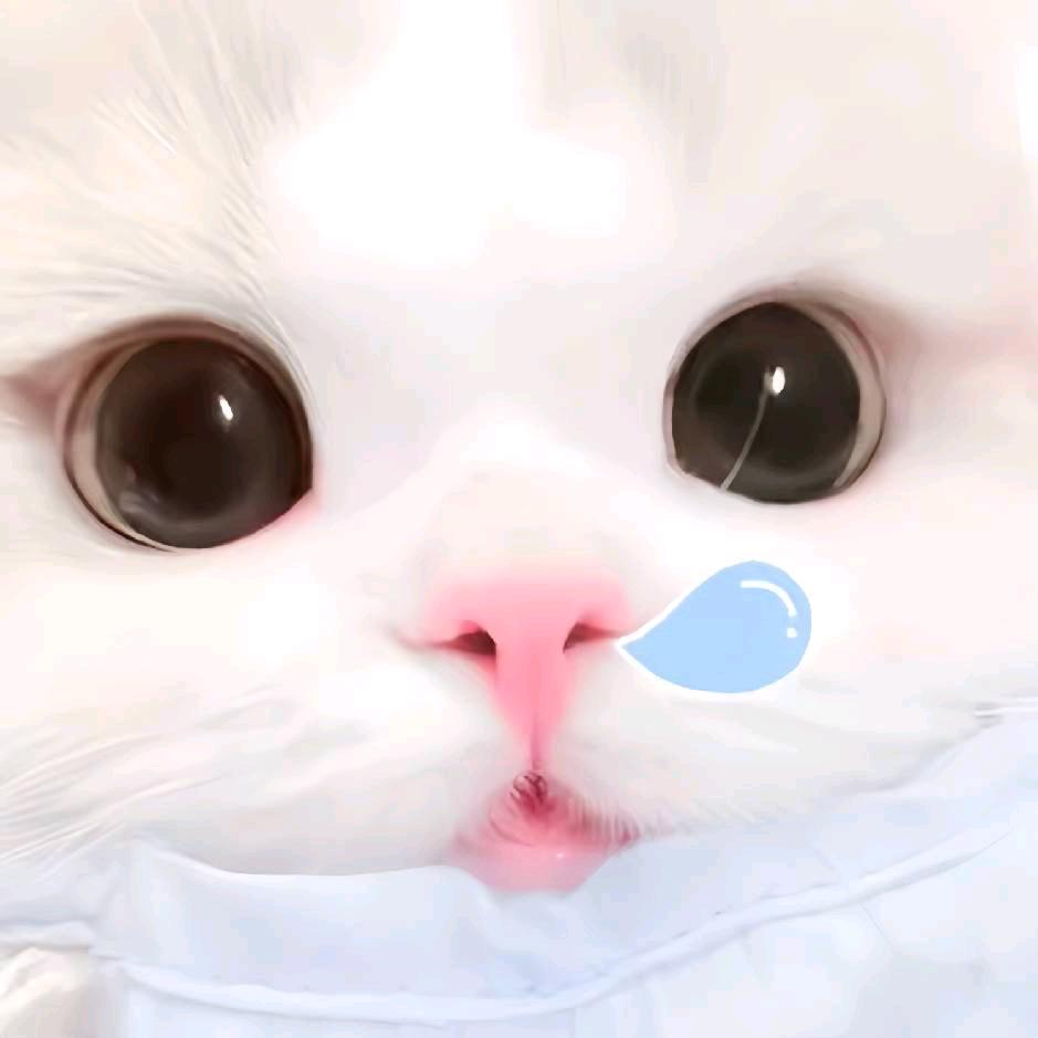 用户8678481941