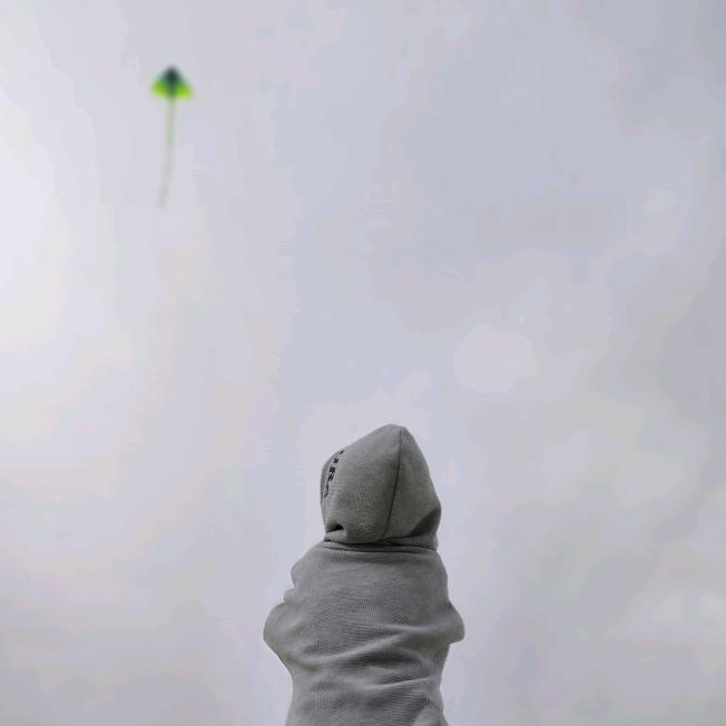 部落的叶