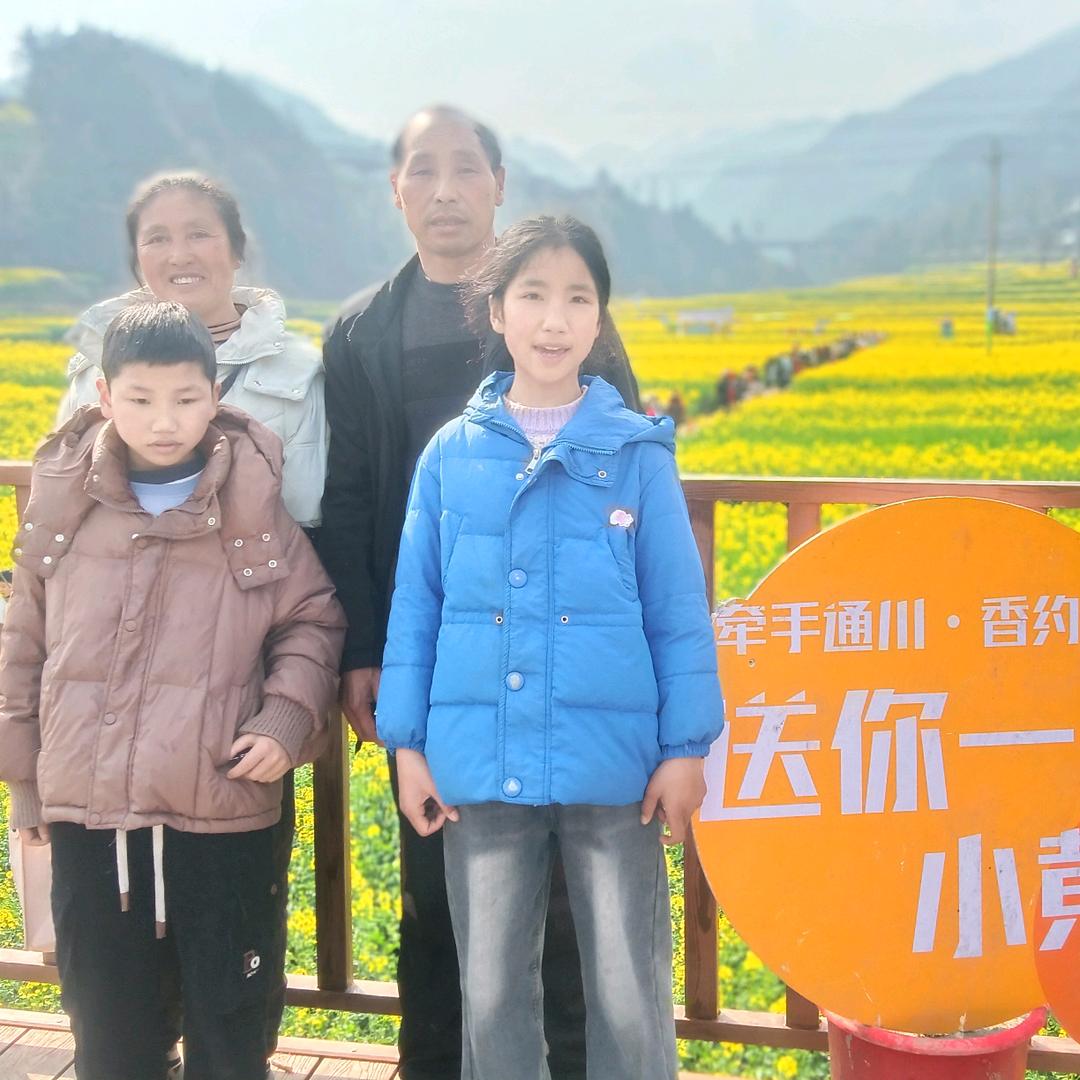 爱爱心树