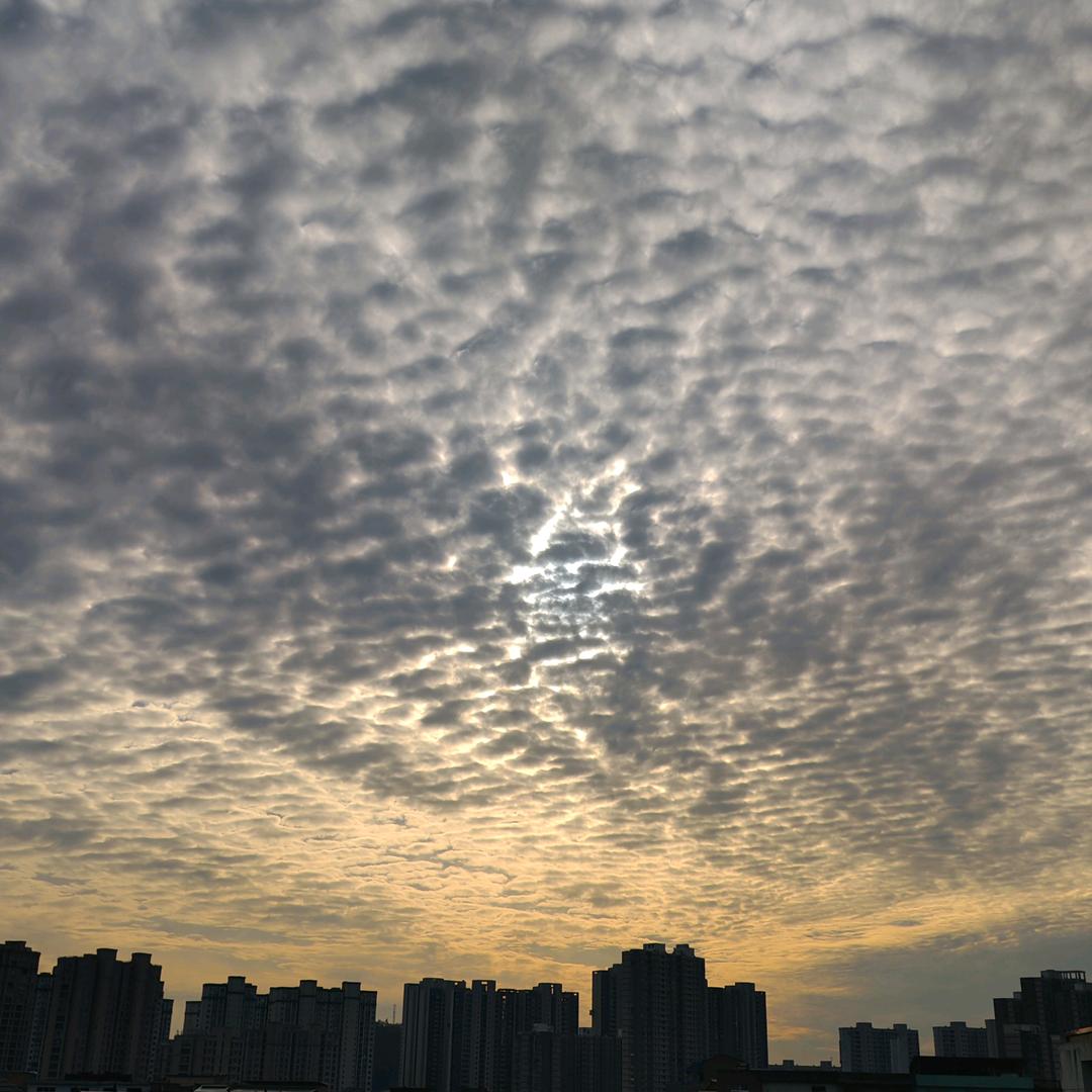 为什么？为自己～