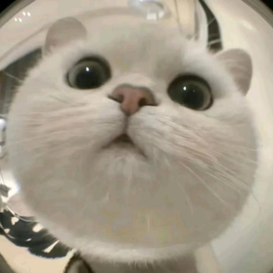 清ོ