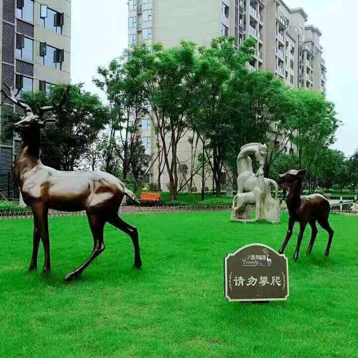 随心