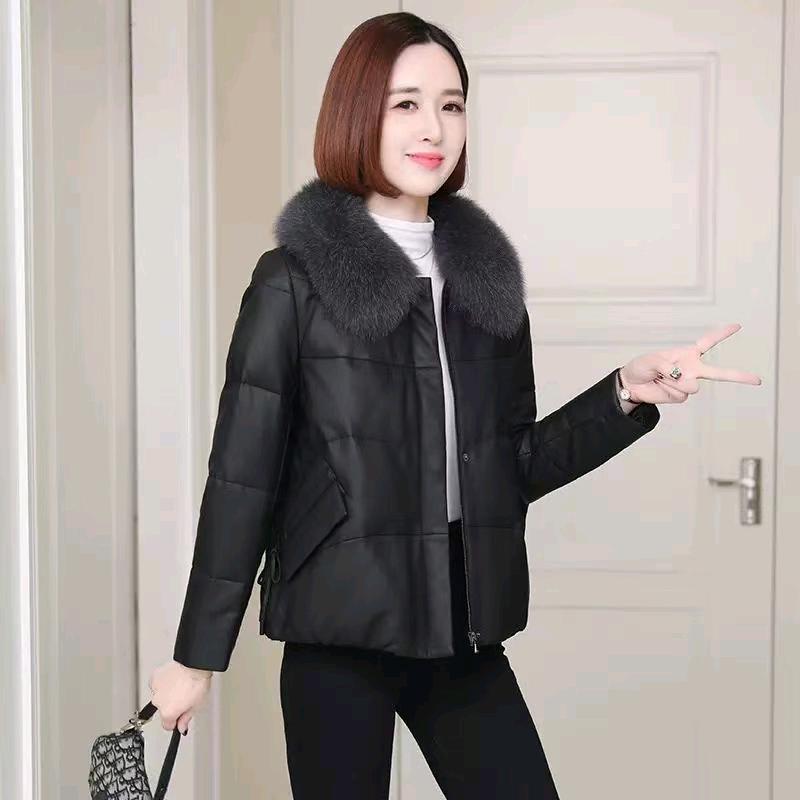 斯云尚海宁皮草