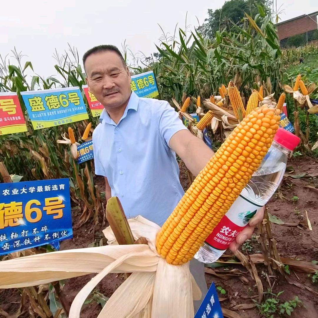 宗场农友农资赵和南