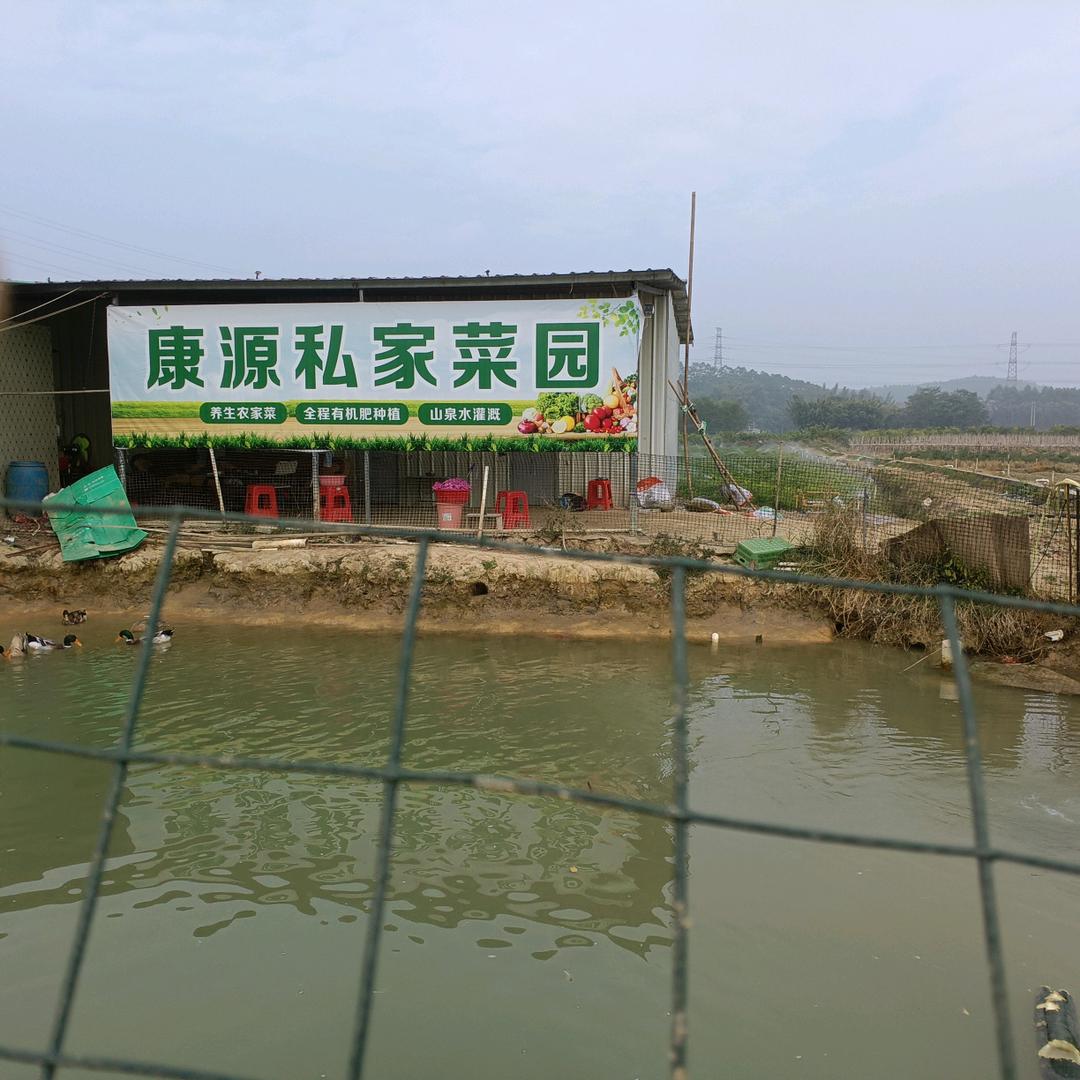 蔬菜批发*z