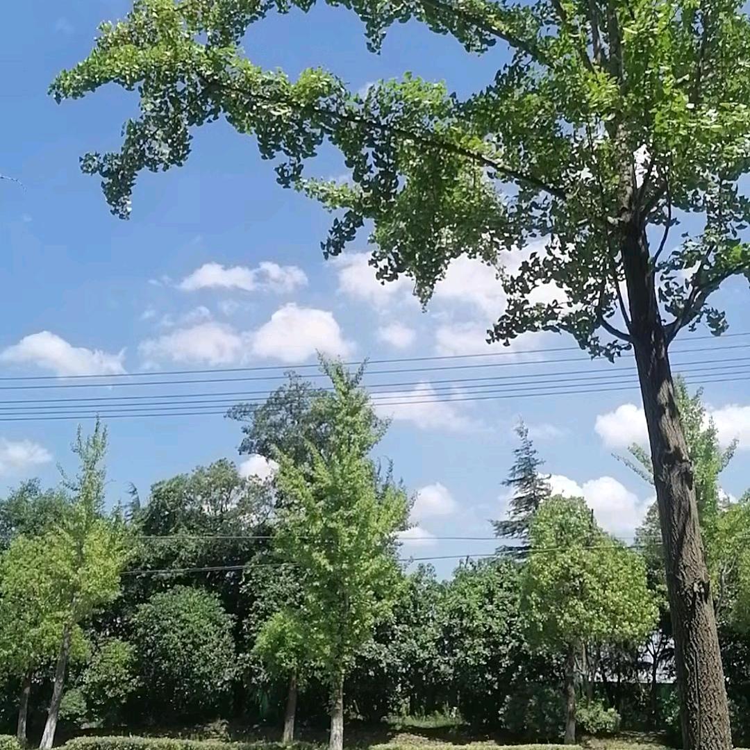 健贤思齐1333 3350831