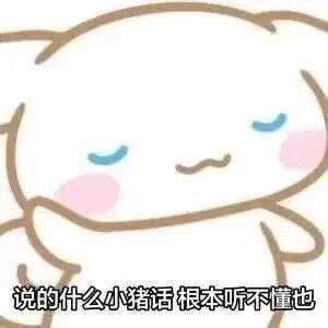 天才小猪