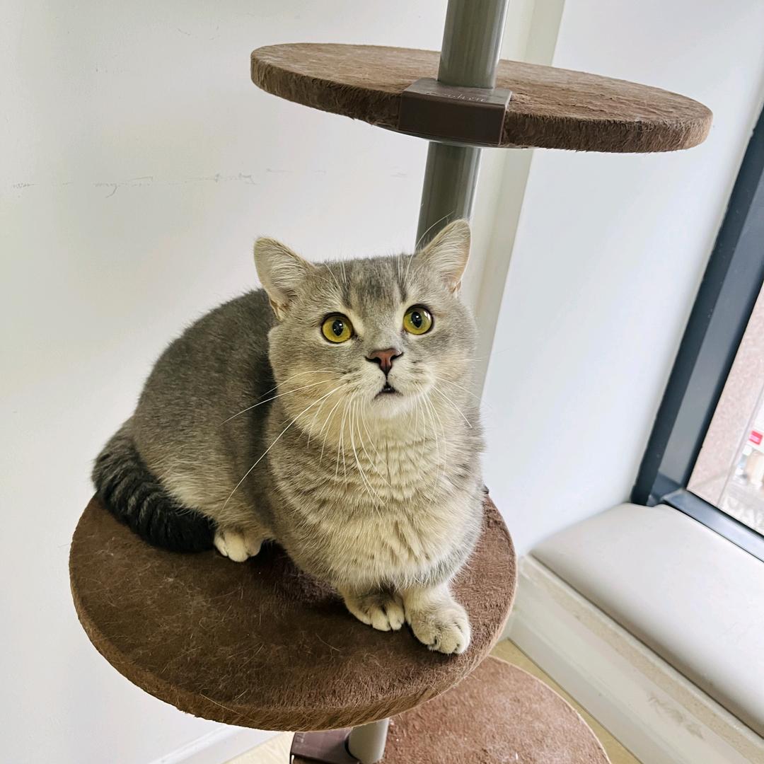 淘子姐🐢🐱🐶🍭