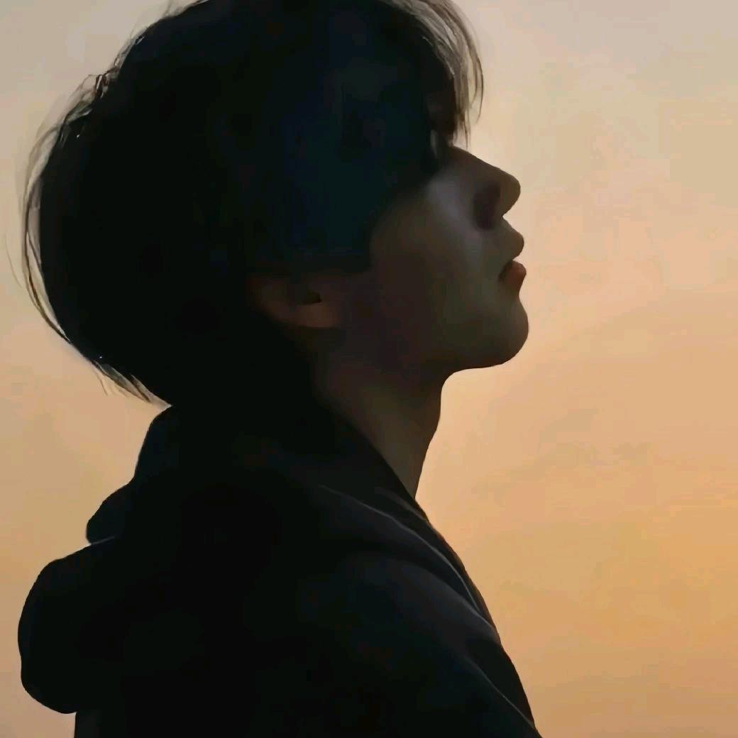 雨夜与蝉