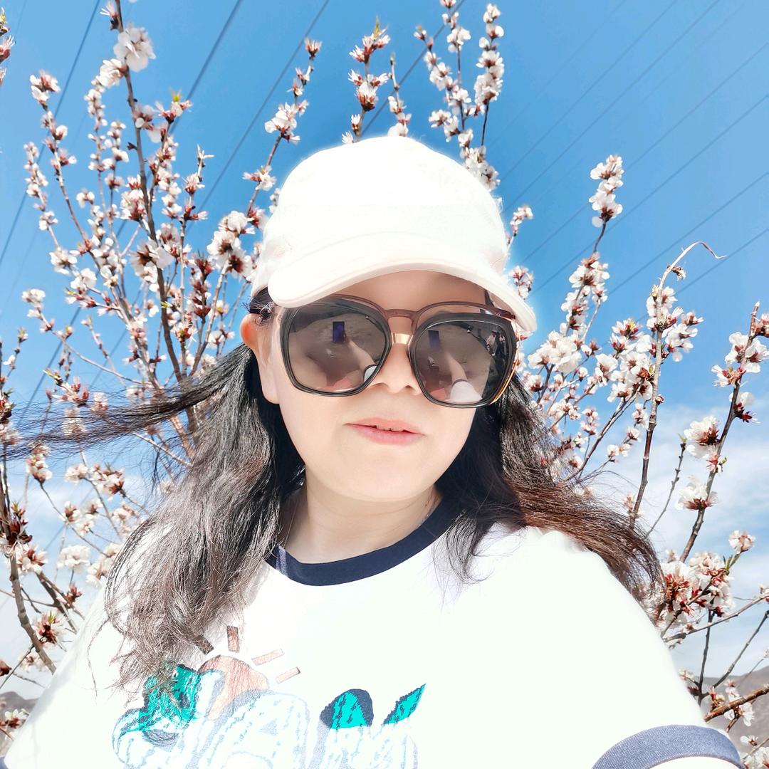 小树家