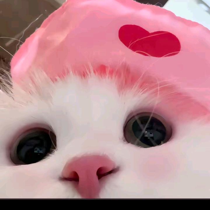 泡泡芙