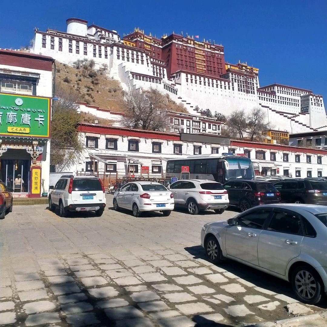 买草猪肉的阿龙