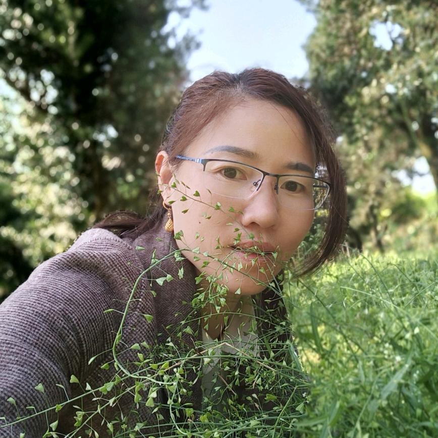 白云生处(拒绝连赞)