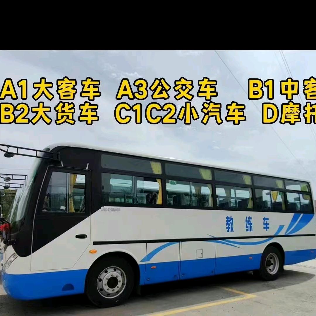 兰教练