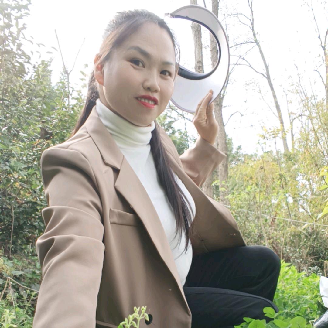雨莲情深