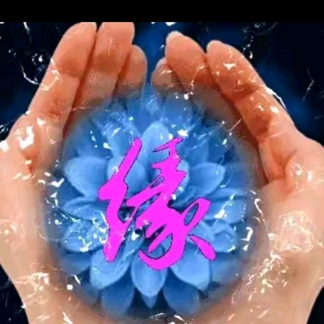 阳光🌻