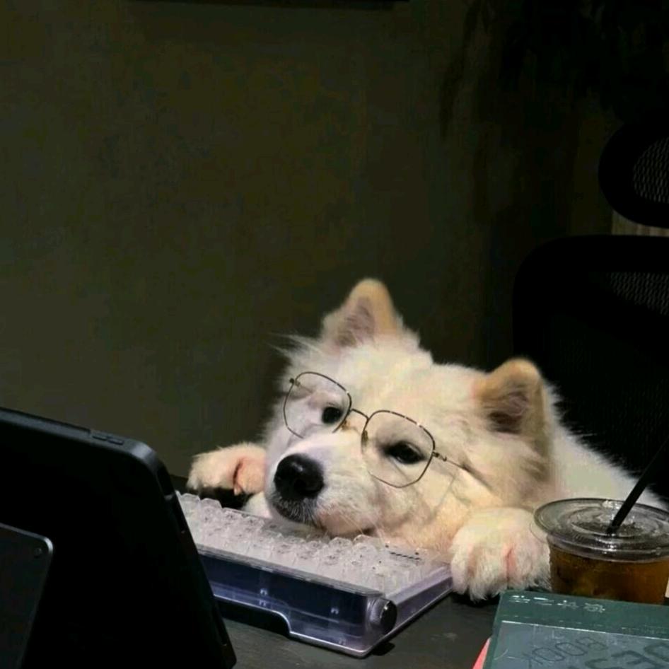 @ℒᎭℯ⃝ZJG🥀⃟执᭄念ꦻ: ℒᎭℯ