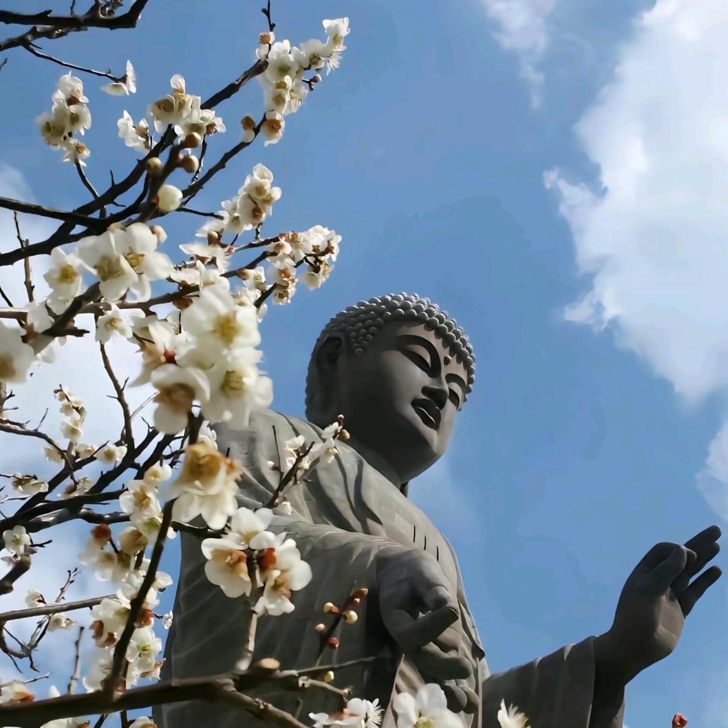 远方的                ·