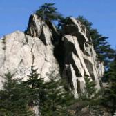 李老师健康养生