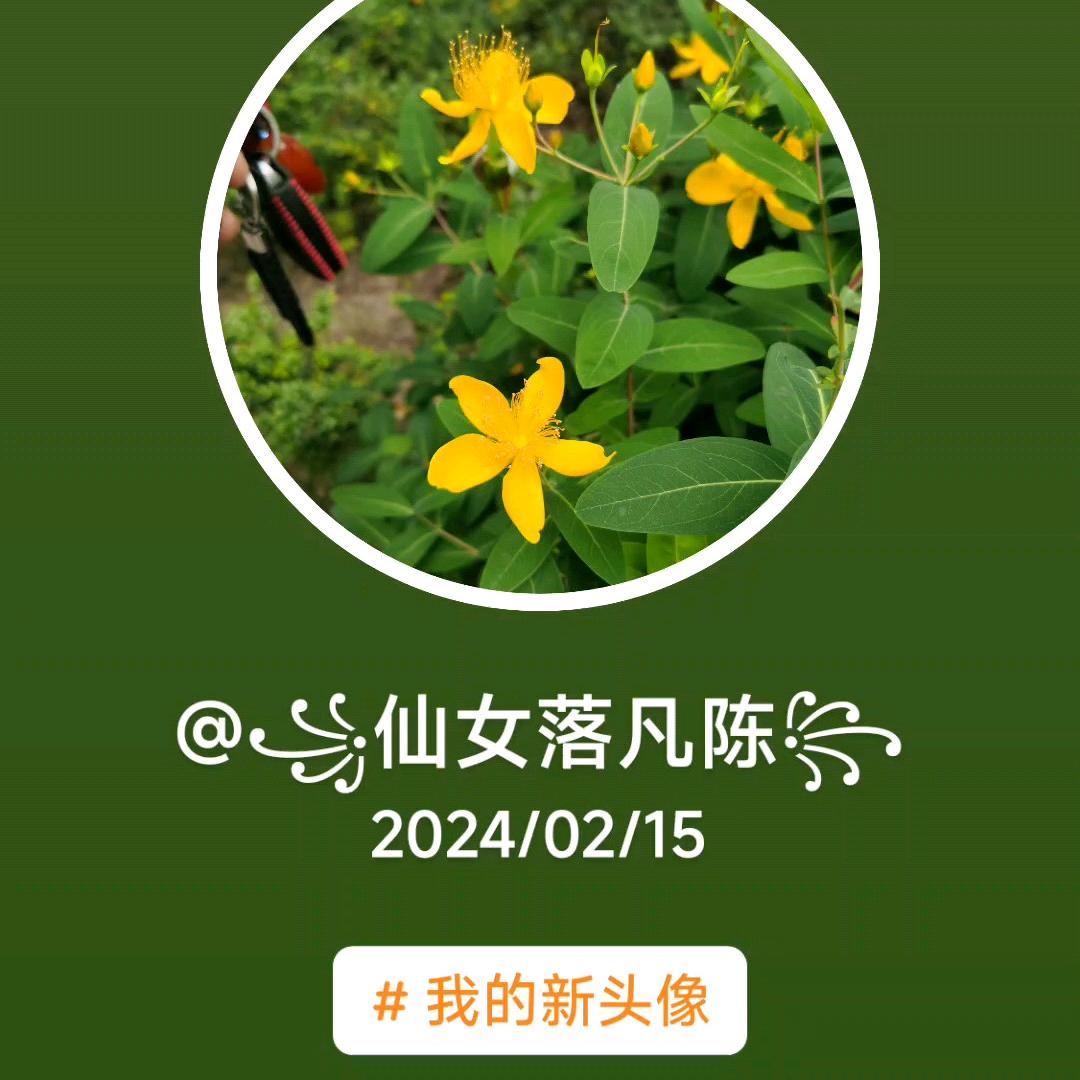 ꧁仙女落凡陈꧂