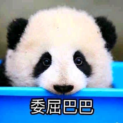 凯文萧