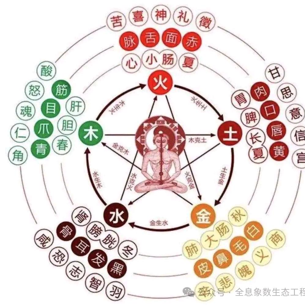 巴林左旗润龙经络养生