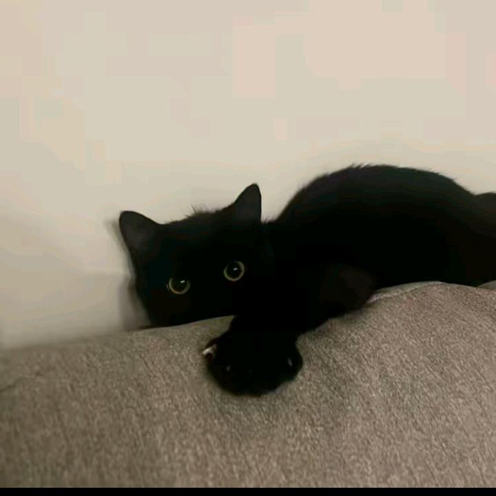 .y