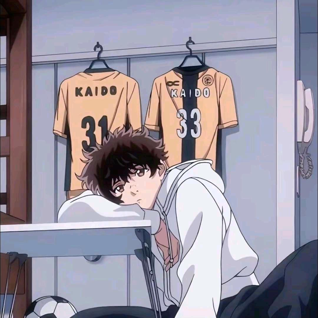 挣钱养猫