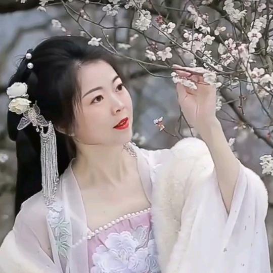 茶韵海豚🎤爱唱歌