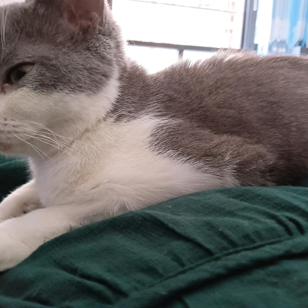 追求完美