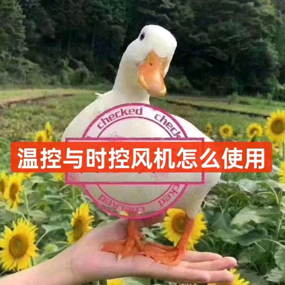 鸭鹅用品小铺