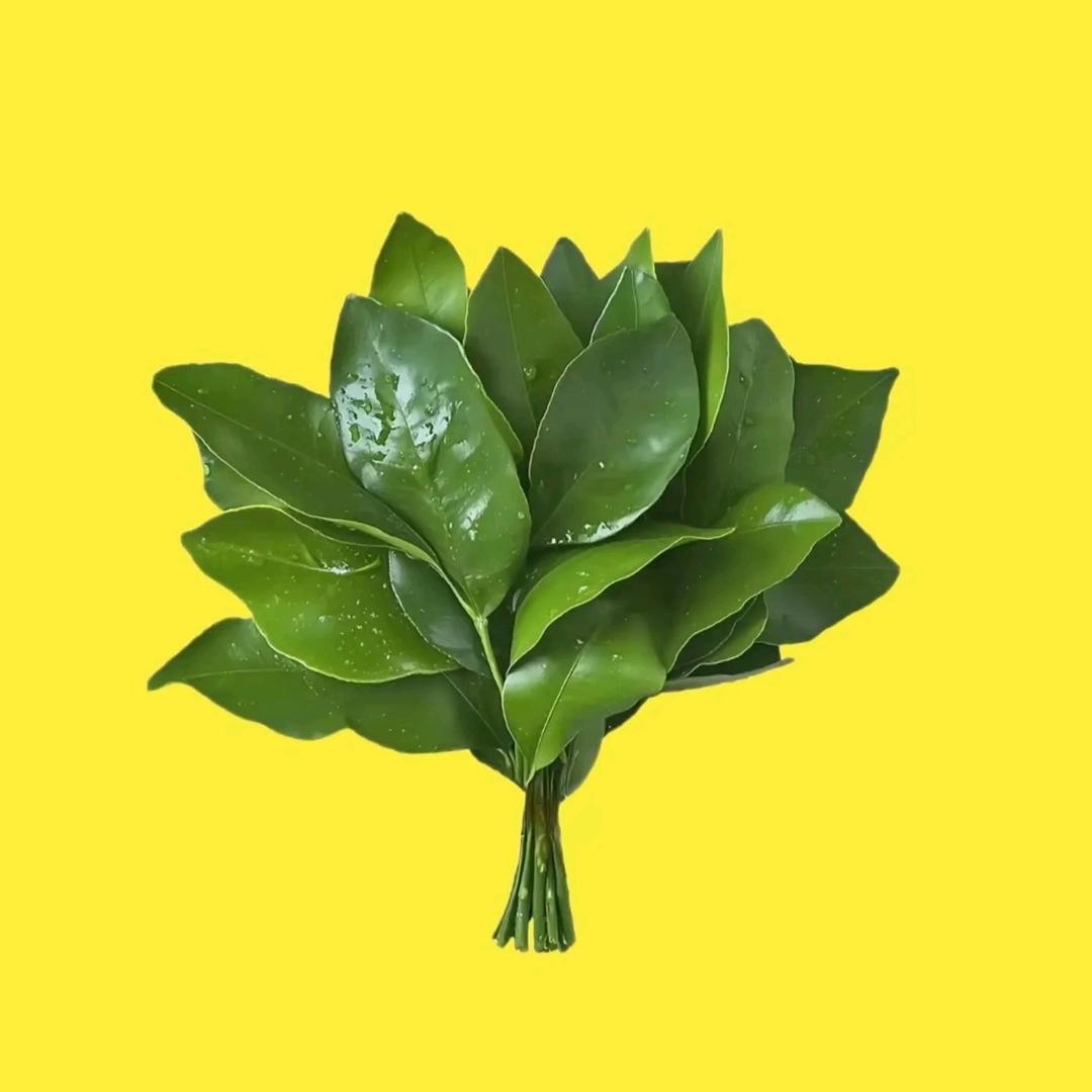 金刚葫芦娃救爷爷