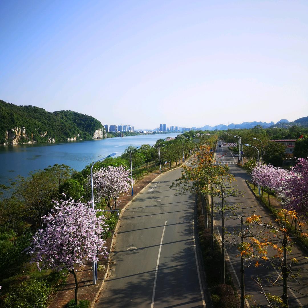 繁花有声