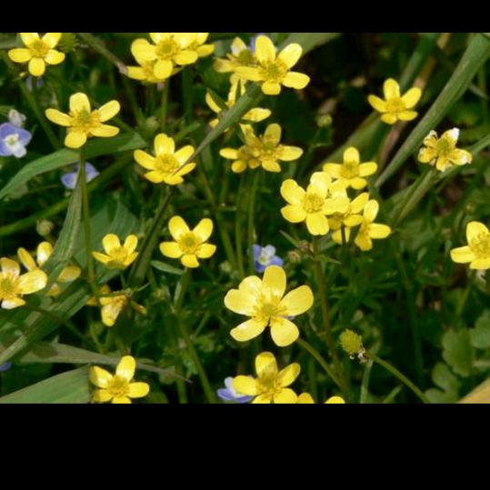 快乐每一天！！！