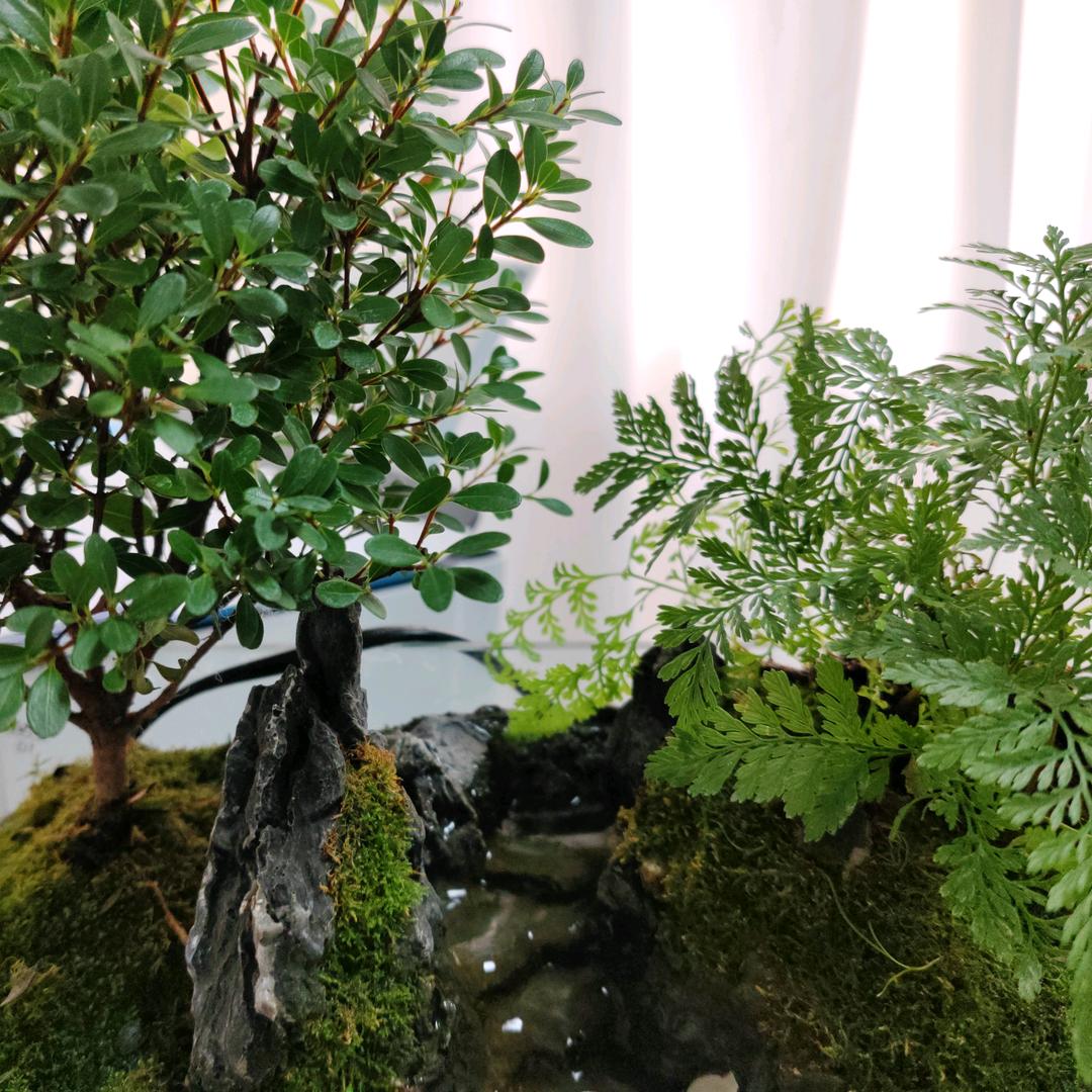 南宁王队长