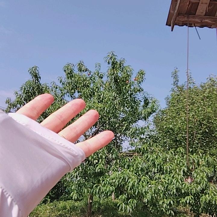 爱生活