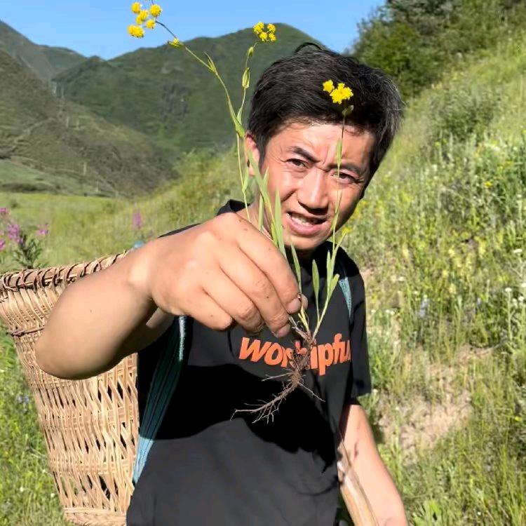 岷归三宝当归黄芪党参