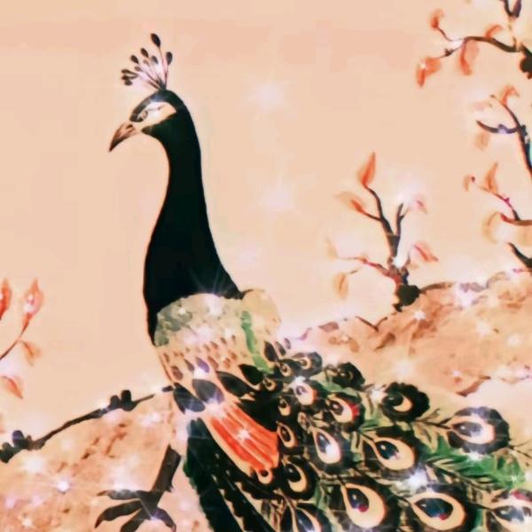 丽丽