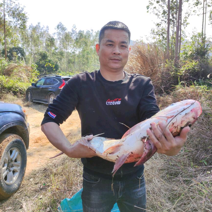 鱼你有缘，张谊