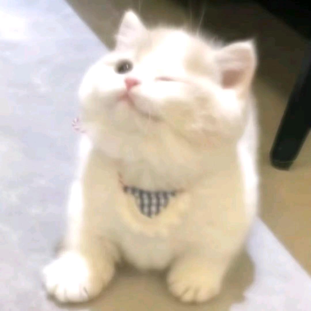 上午好