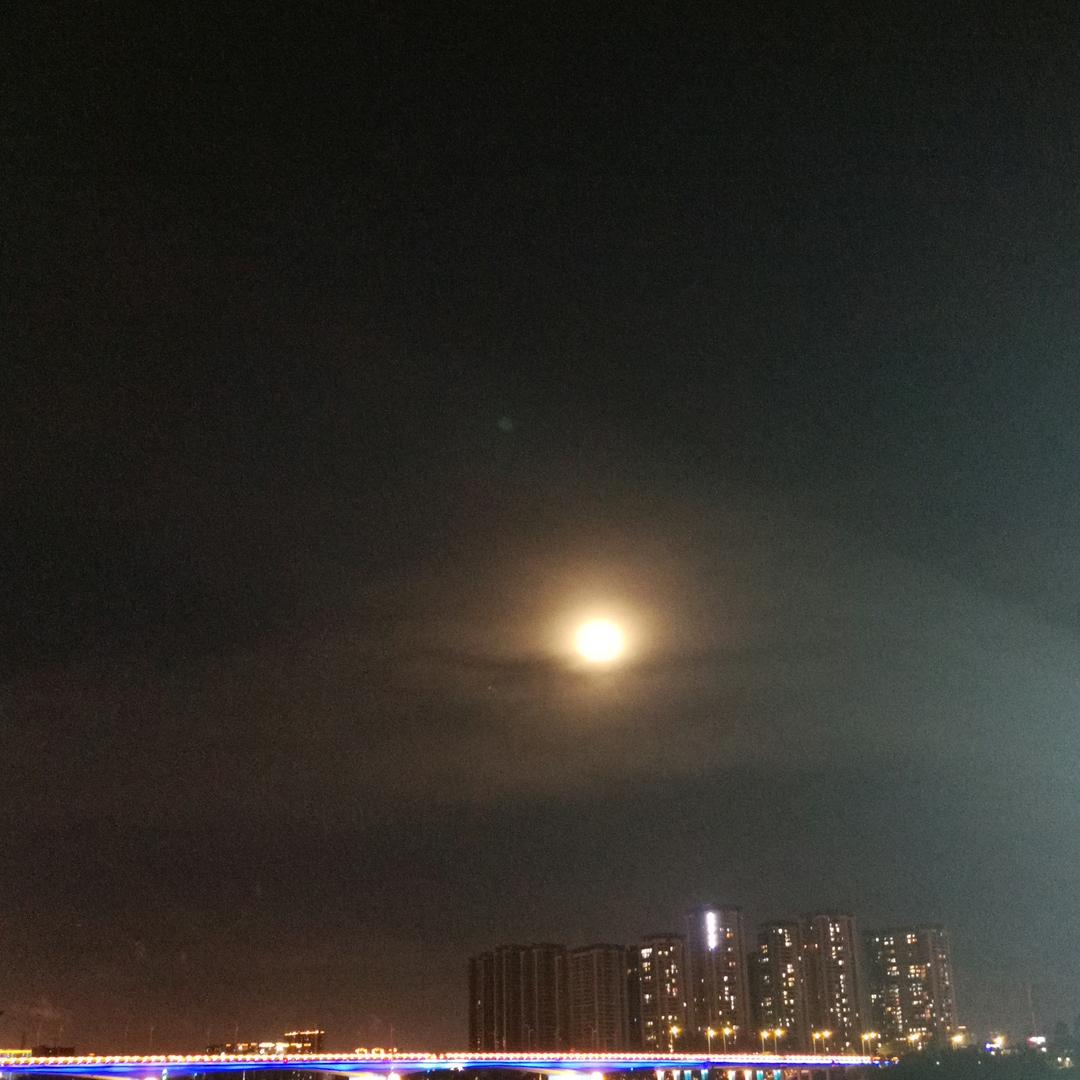 小布丁