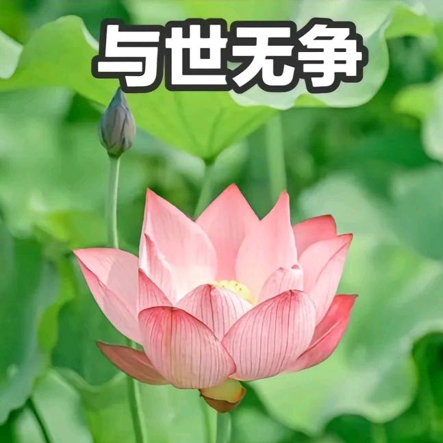 幸福一家人🍀